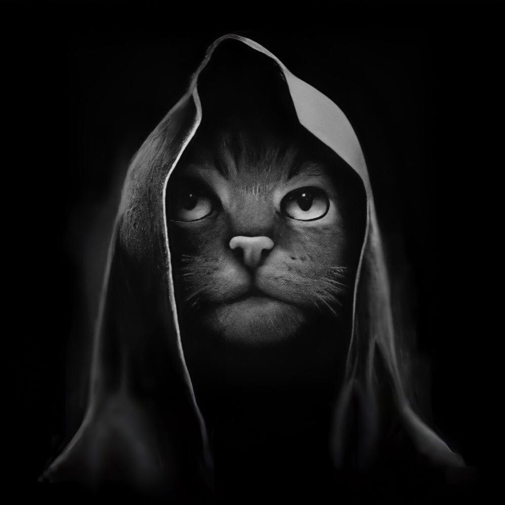 乡巴里乔氏桌球会员集散地