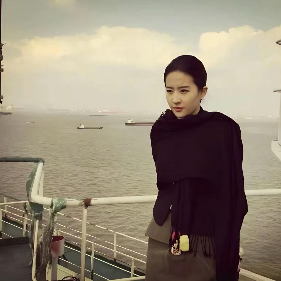 隐姓埋名刘亦菲