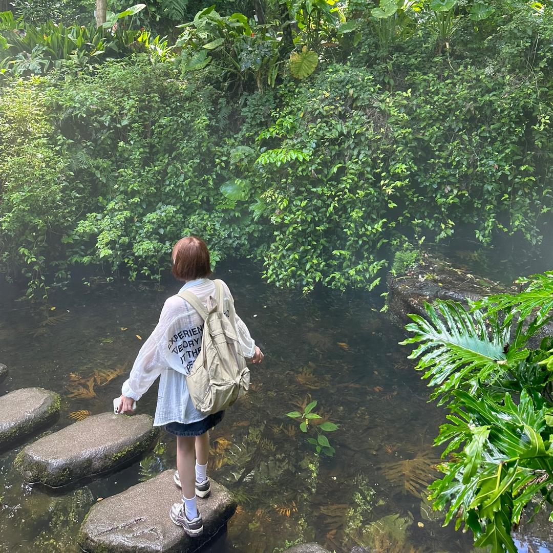 蒋蒋