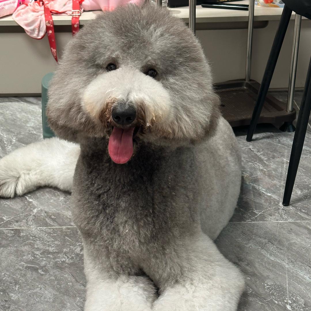 无忧无虑的 无忧