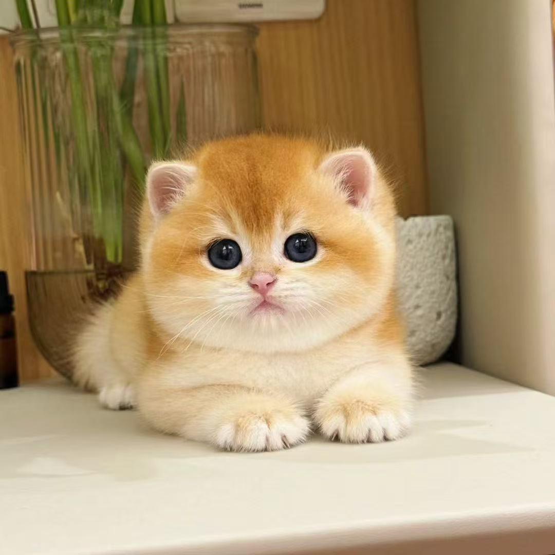 清新小姐姐🧍‍♀️