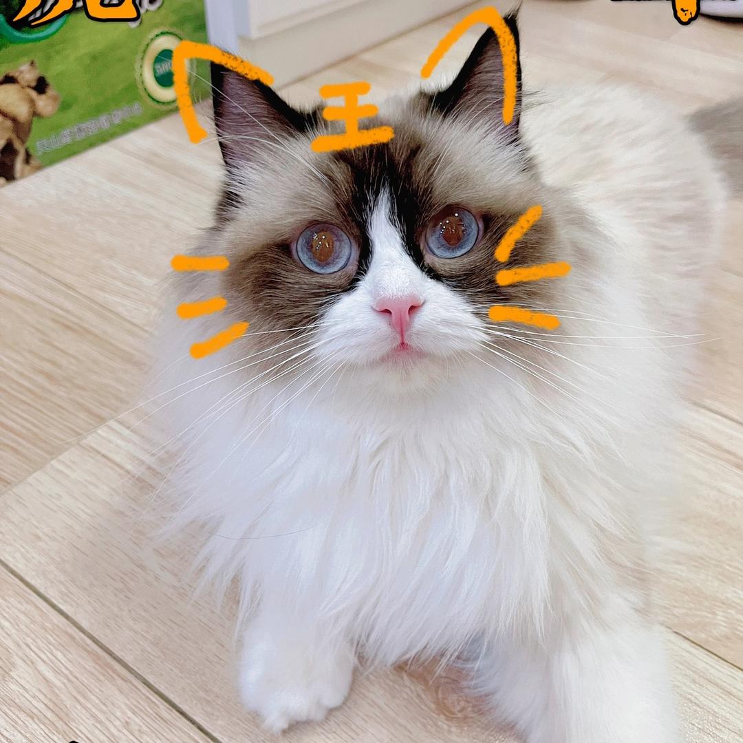 财神爷的小乖乖🍓