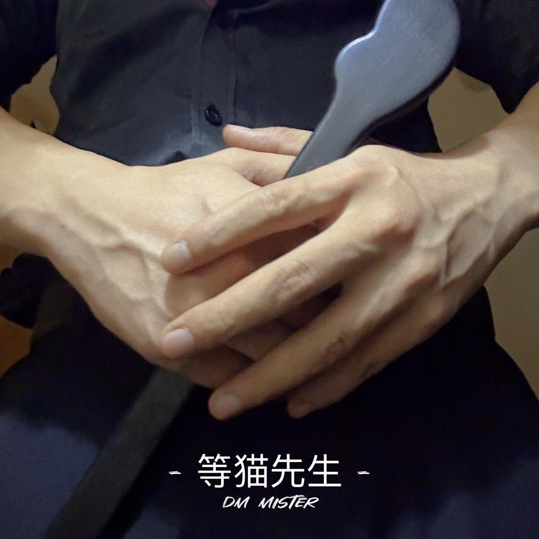 等猫先生🐱
