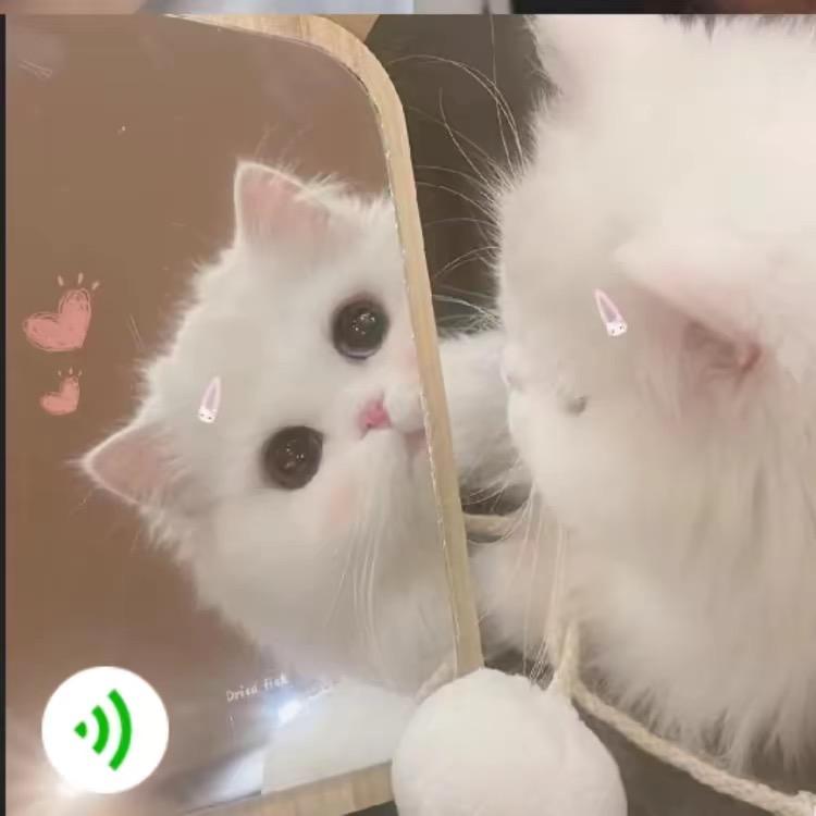 遇见青山~