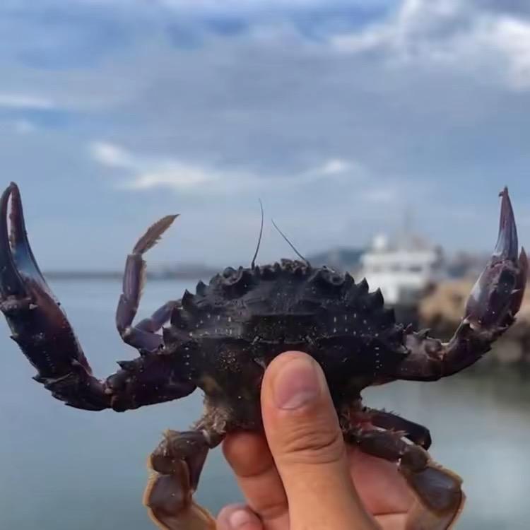 阿友赶海（鲅鱼圈海景民宿）