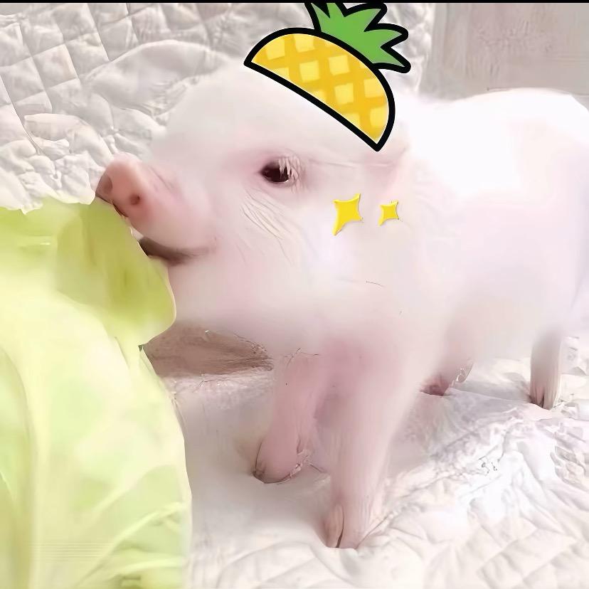 少爷᳐੭