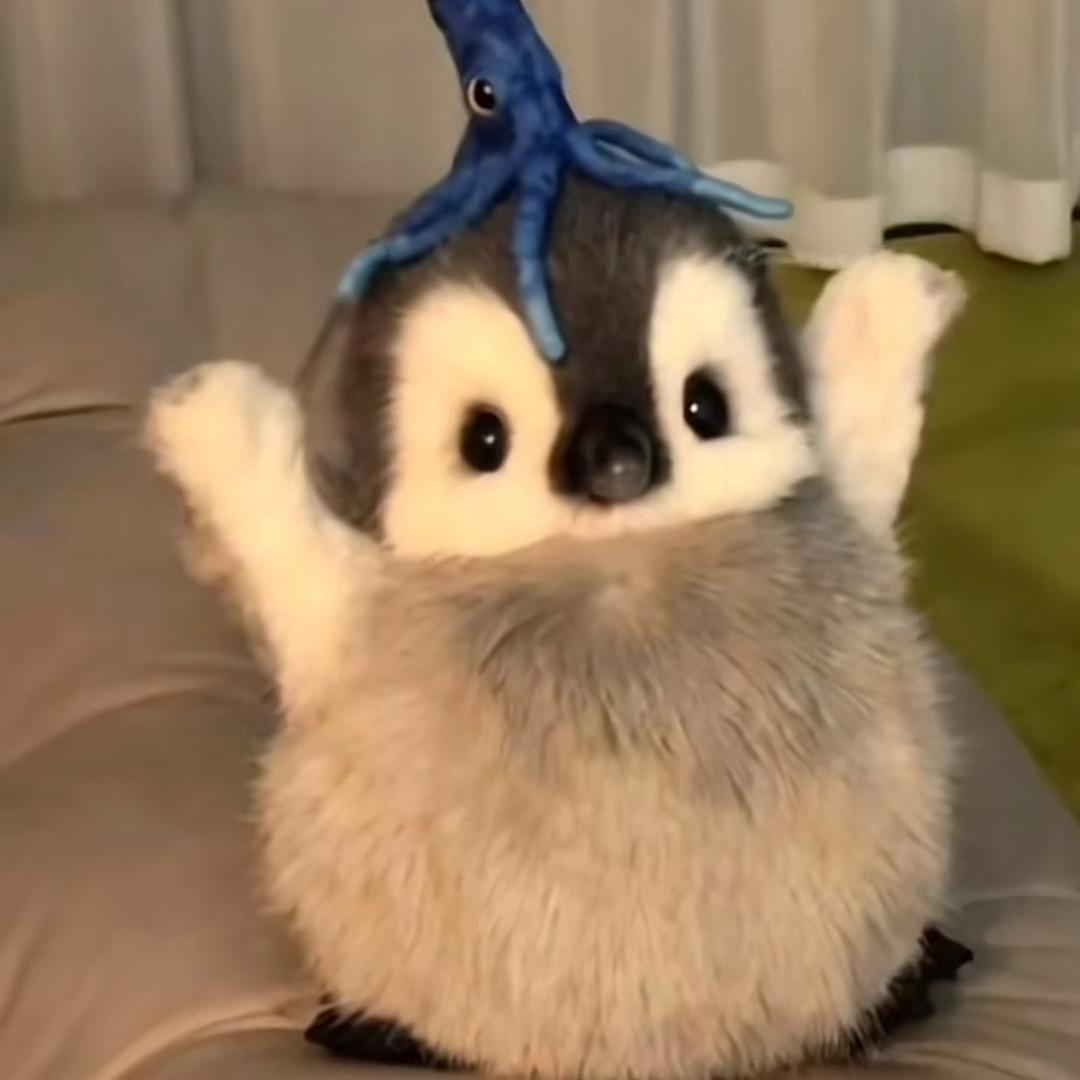 梵特西
