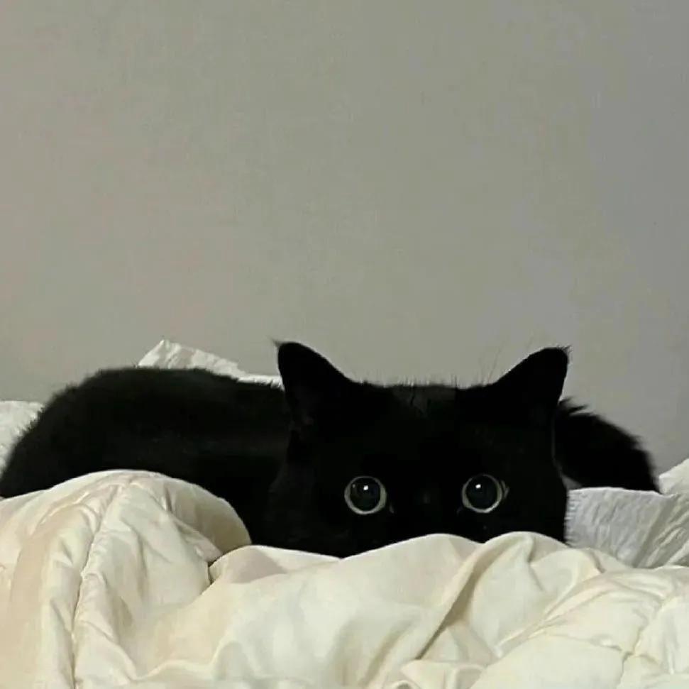 荔枝只只ಣ