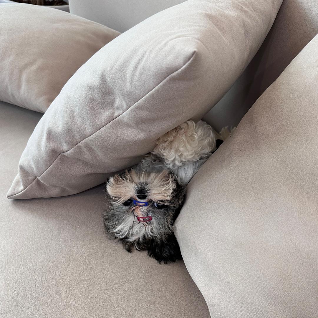 小丸子是西施🍒