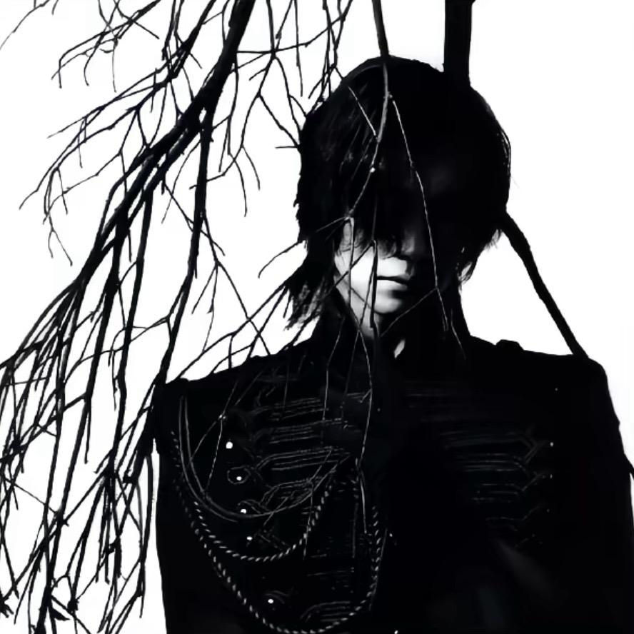 不爱吃鱼🐟🐟