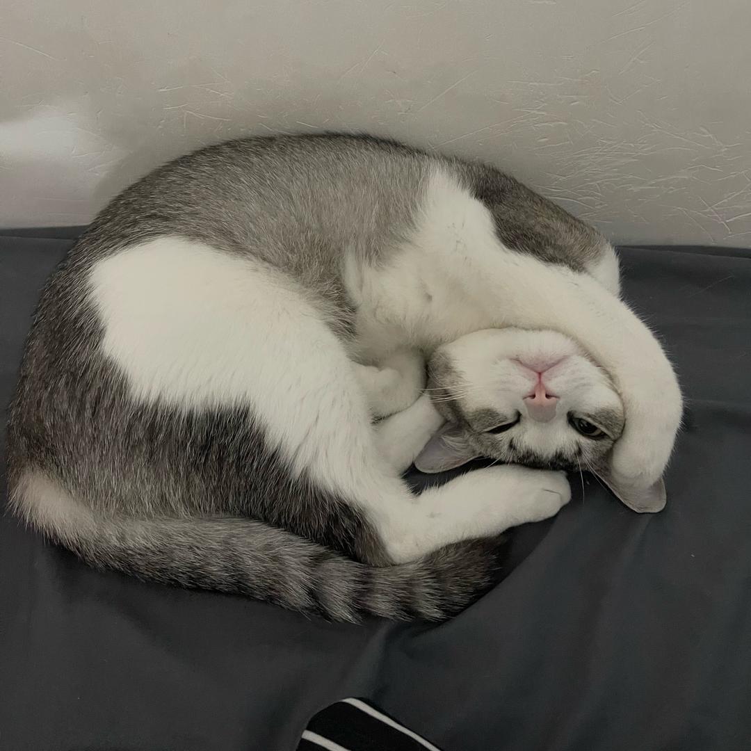 我不是陈二南