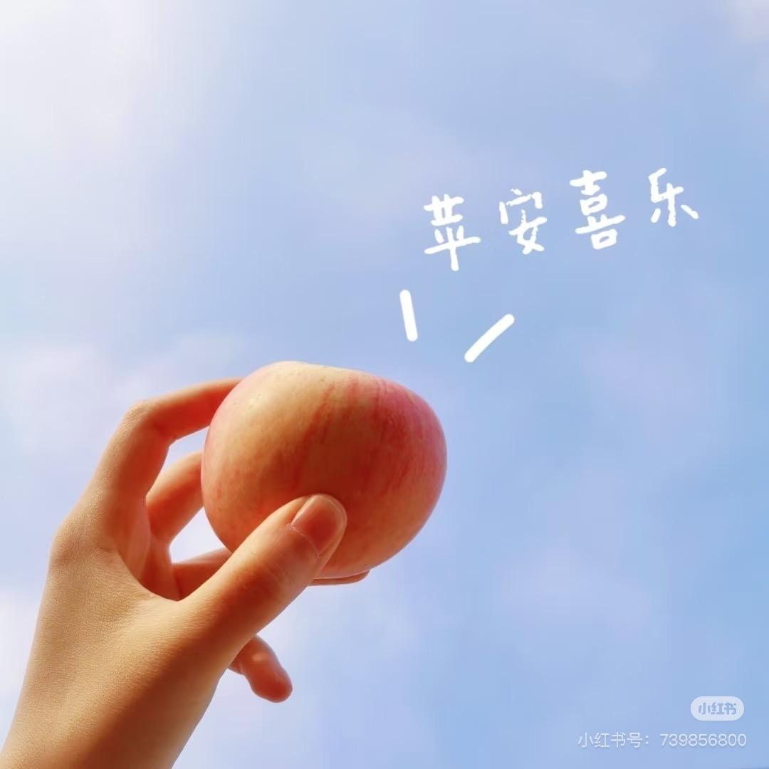 渡清欢
