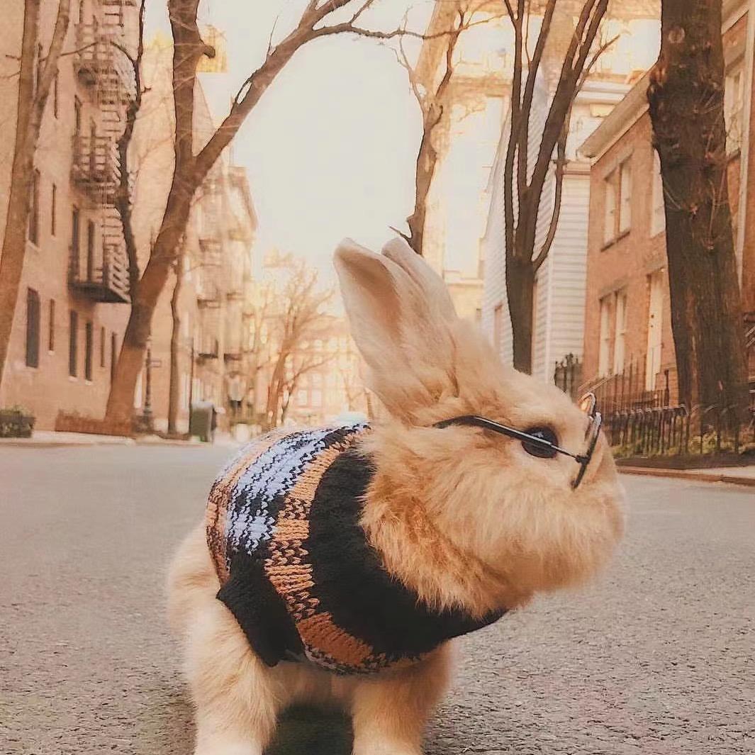 hai,girl