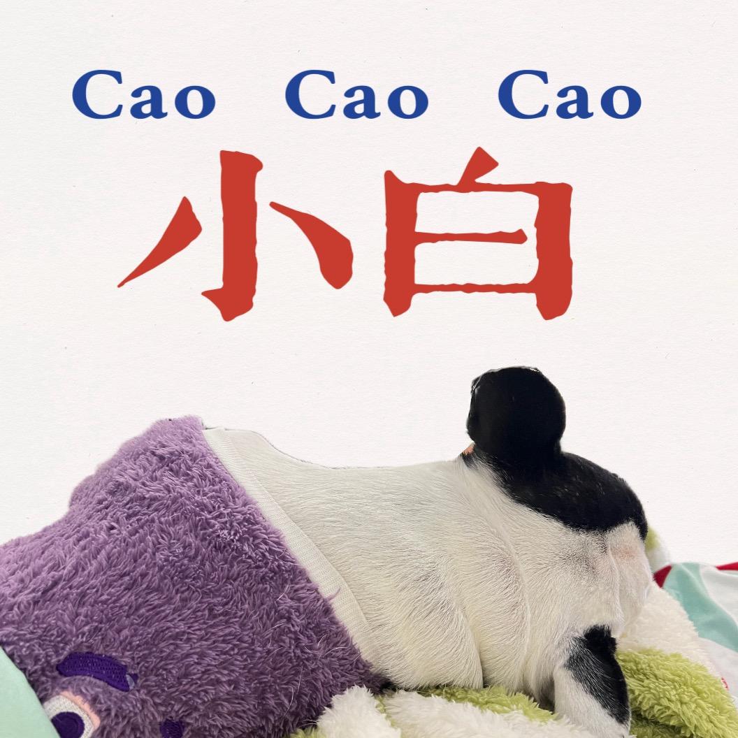 满杯小白
