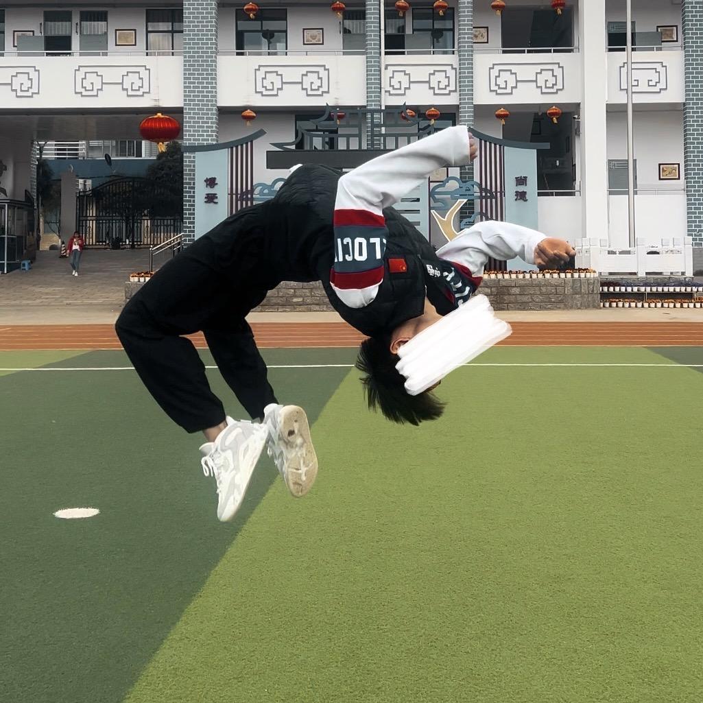 跆拳道武术散打·杨威