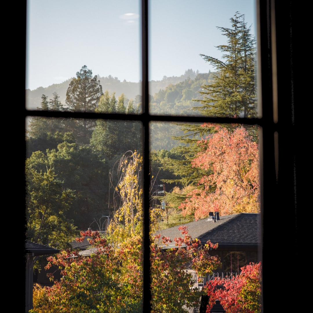 小鸟家户外