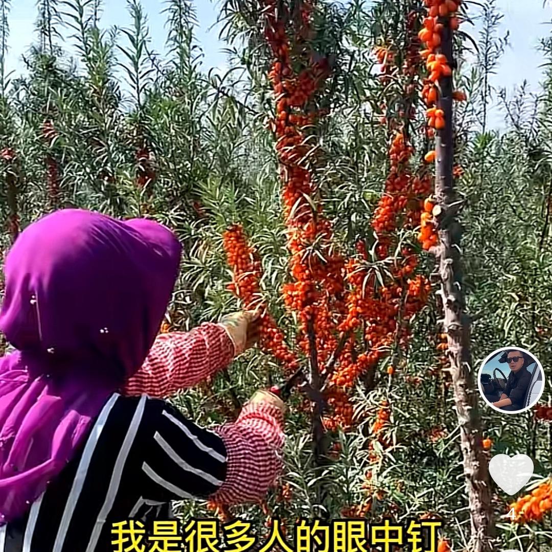 与健康同行