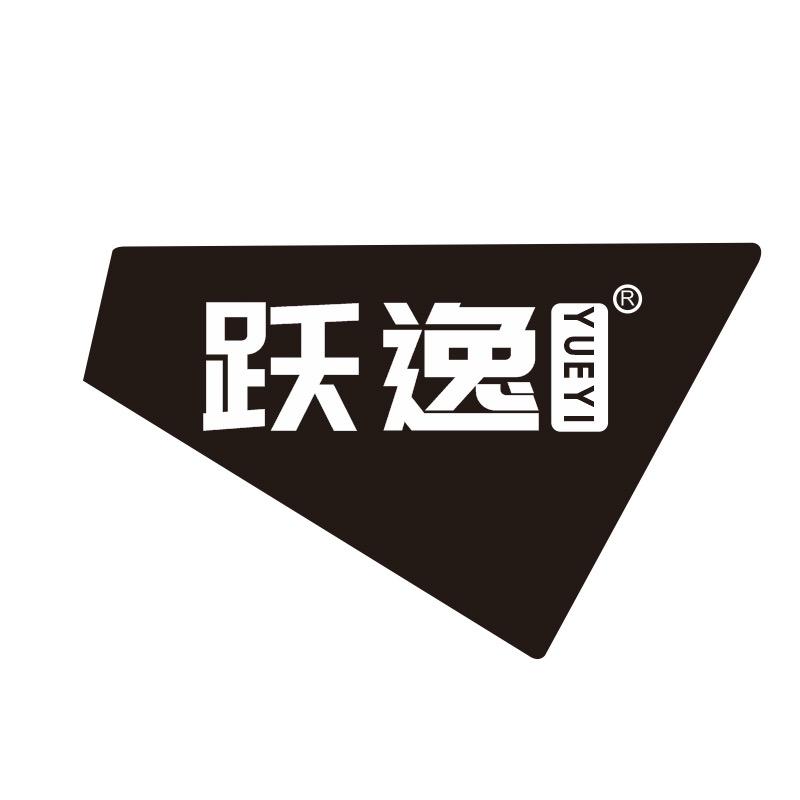跃逸洗车机