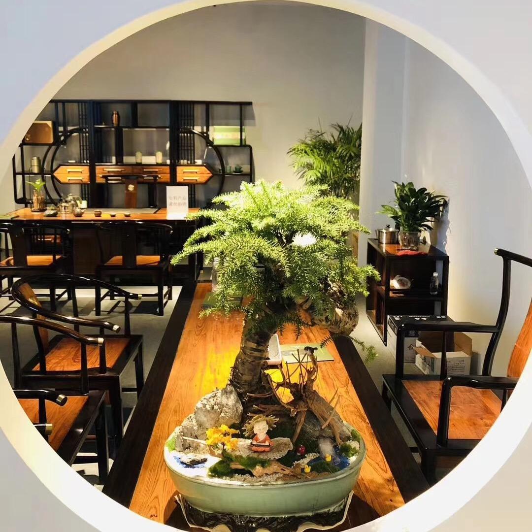 水雨轩功夫茶台红木家具店