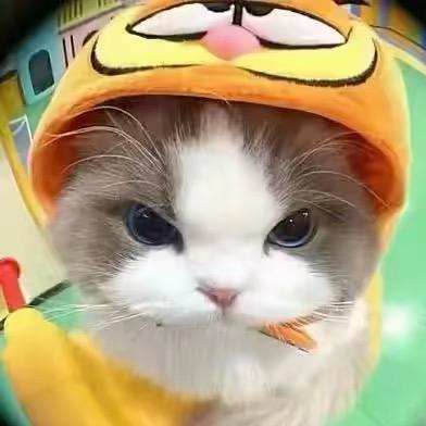 天上飞的小安
