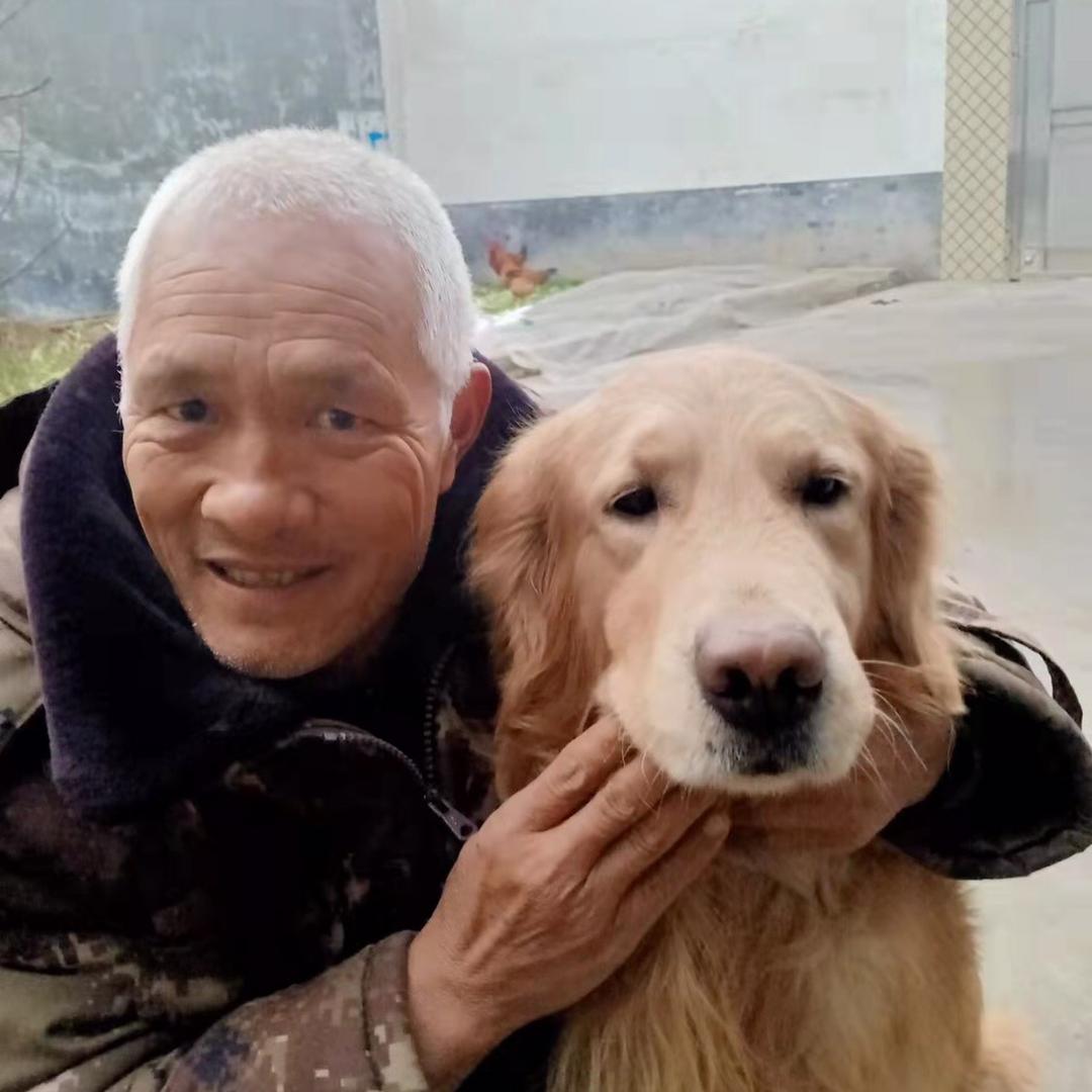 曹老头与金毛