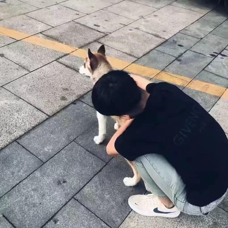 琪子