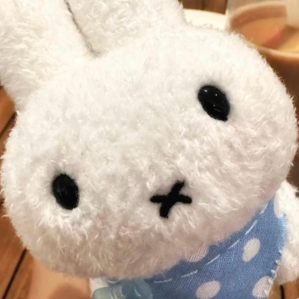 小鱼