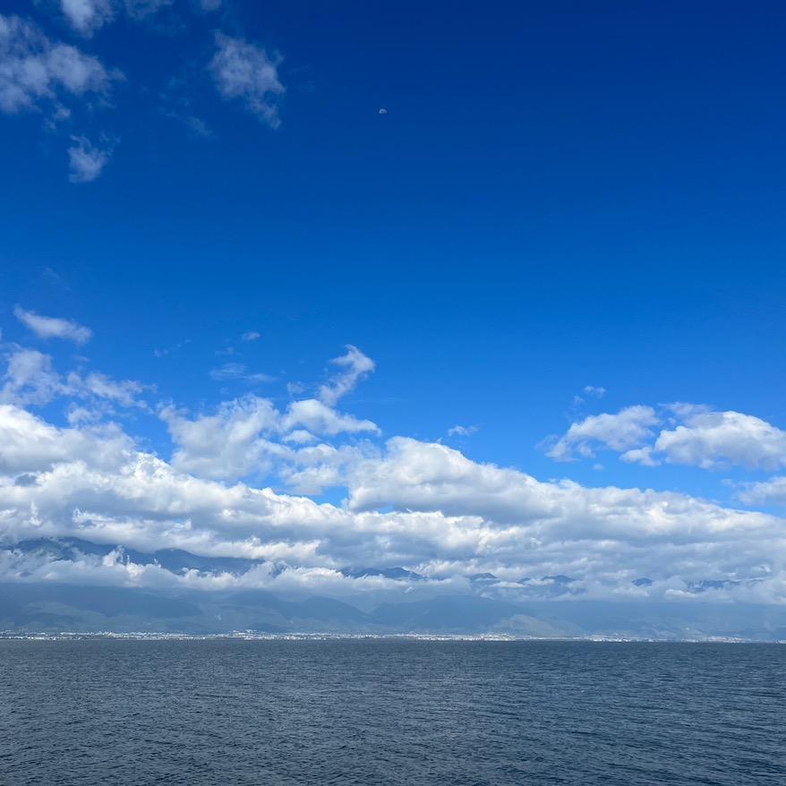 杜什么鑫