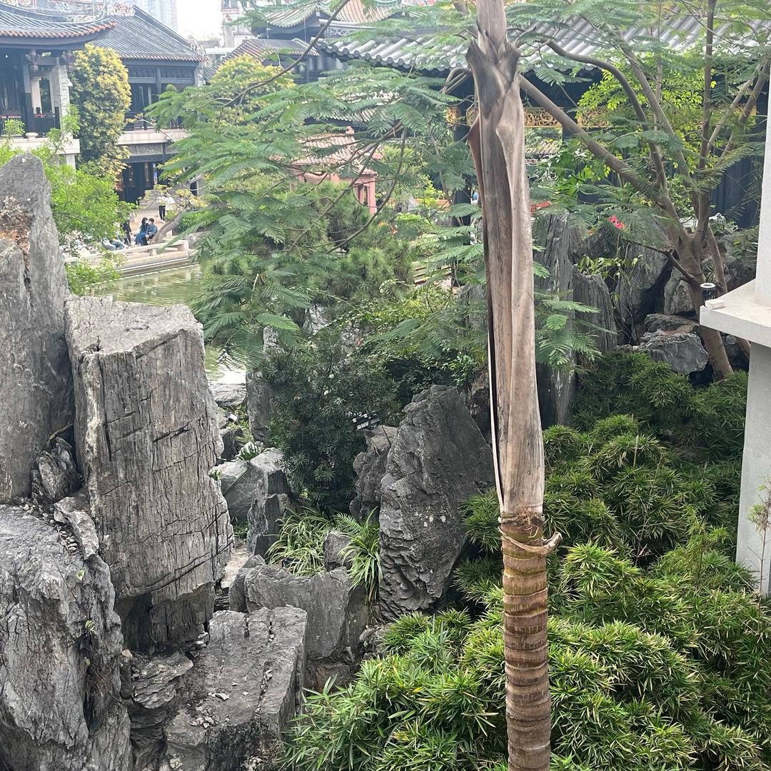 奥利奥扭不动
