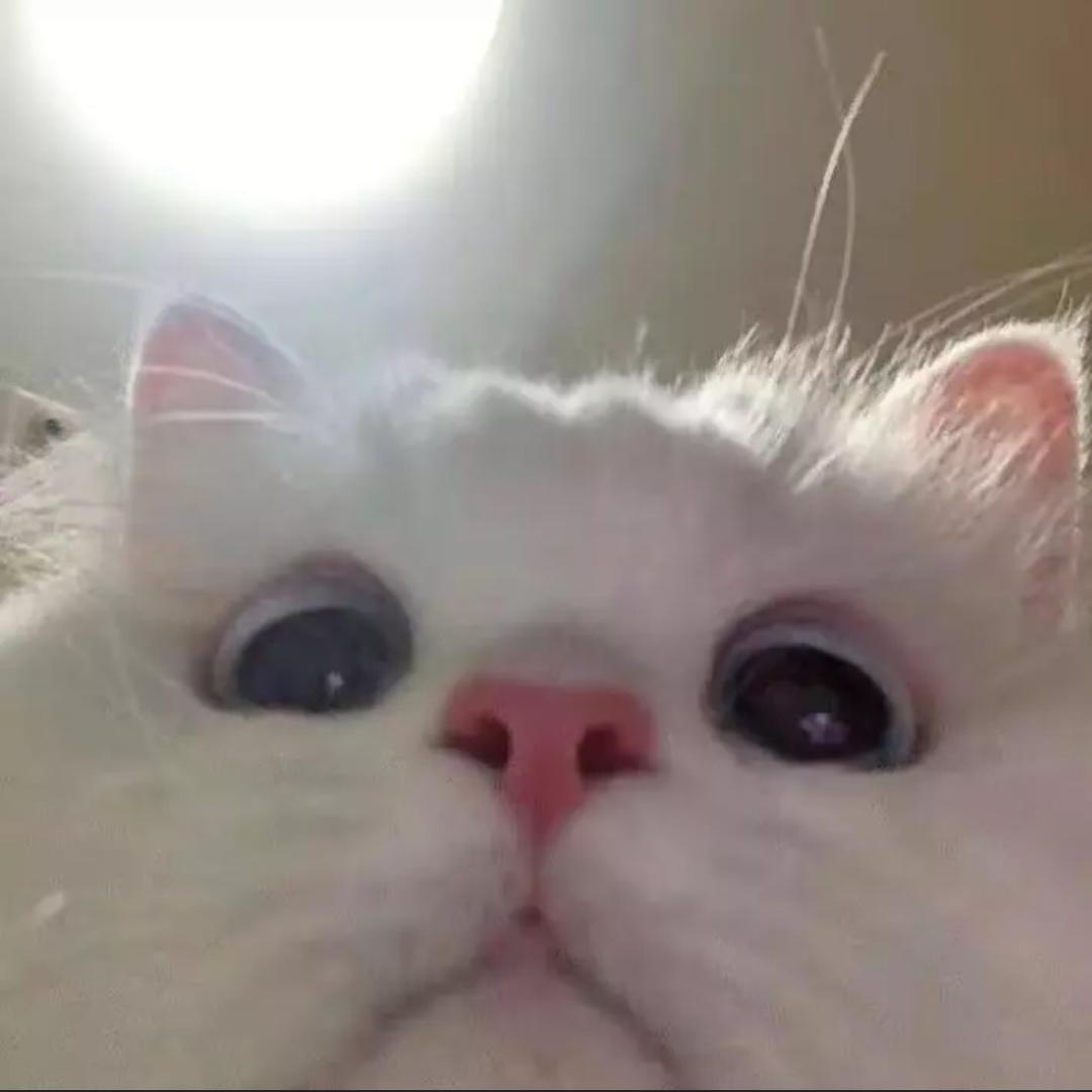 bbb
