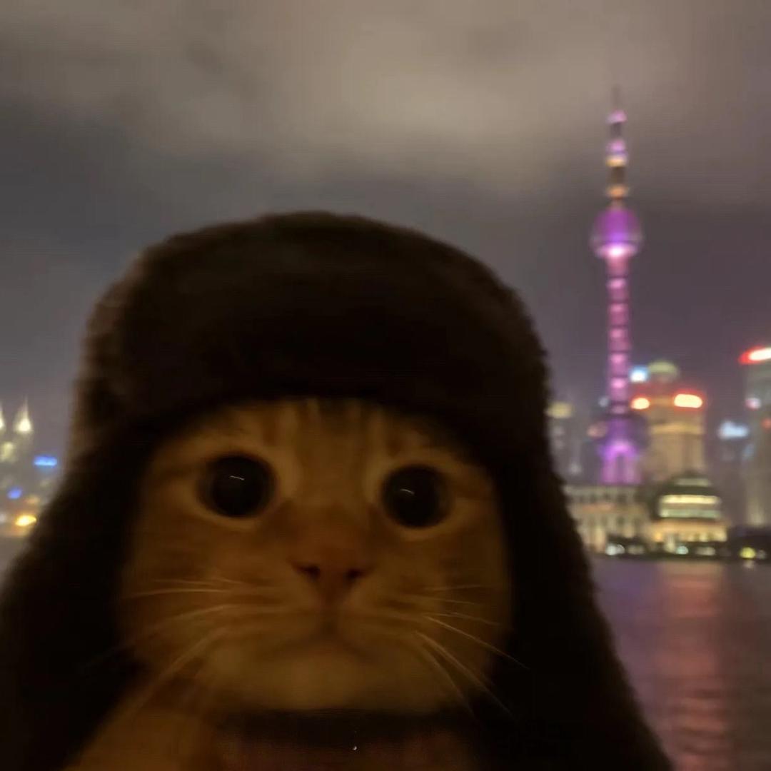 ￴￴ ￴ ￴ ￴￴ ￴ ￴