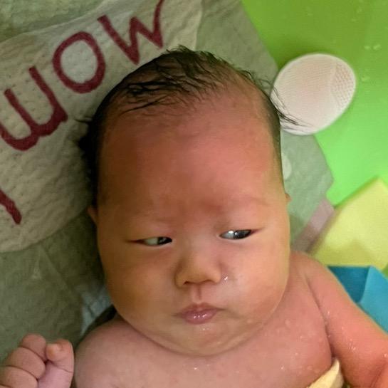 青山见我应如是（发疯减肥版）