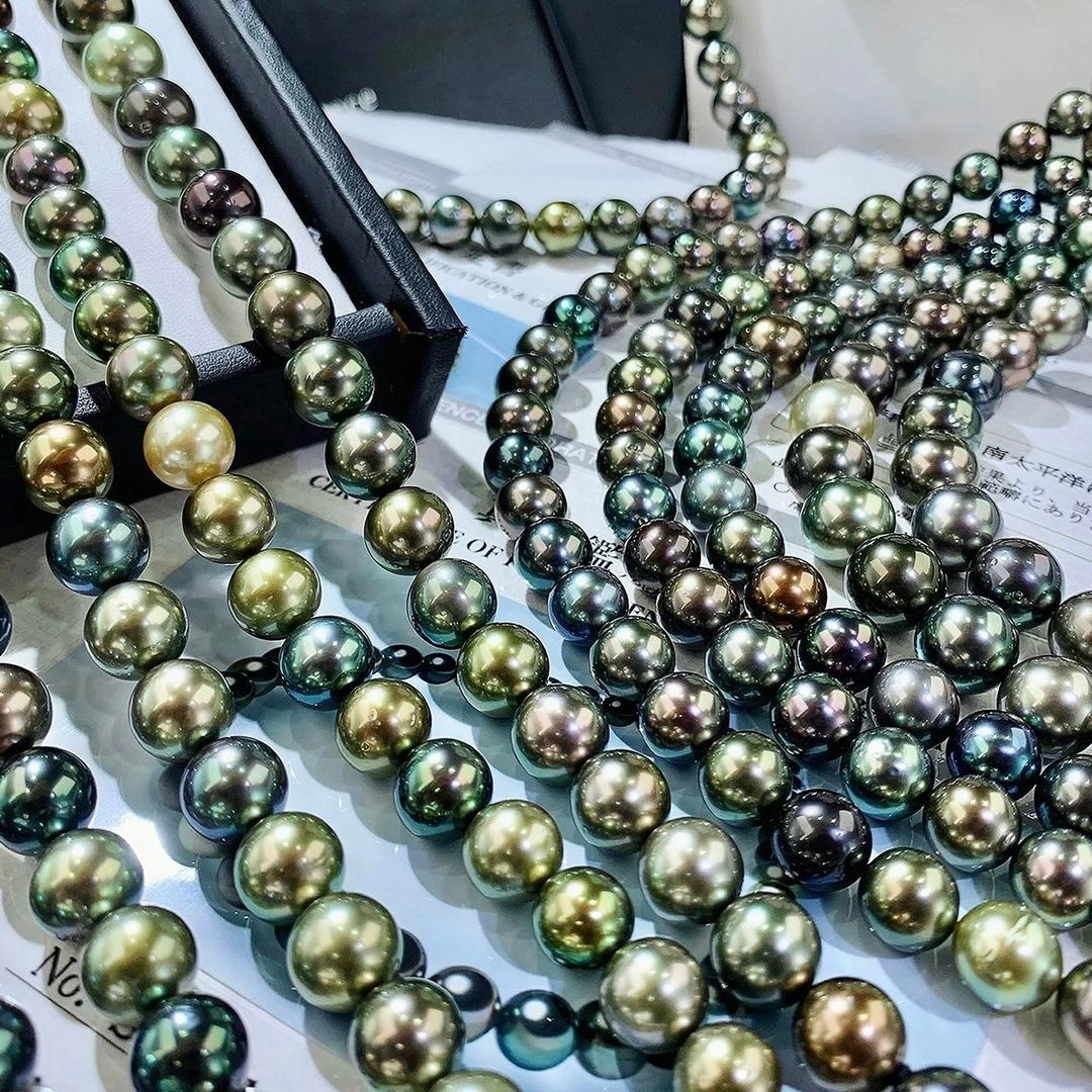 珍珠黑总 源头口碑 源头价格 源头品质