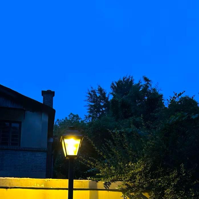 梦一场