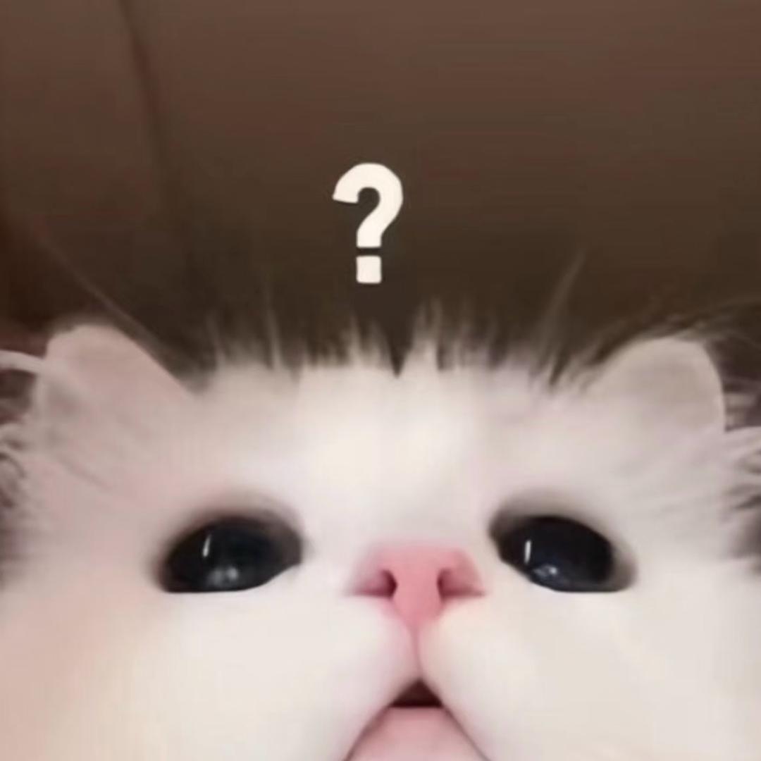 什么璇