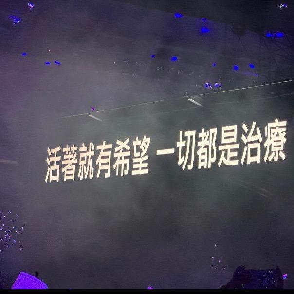 今天吃虾了吗