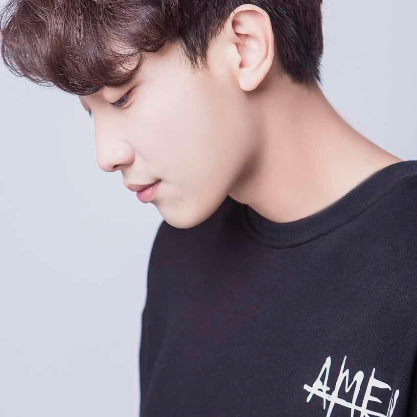 翼丝儿