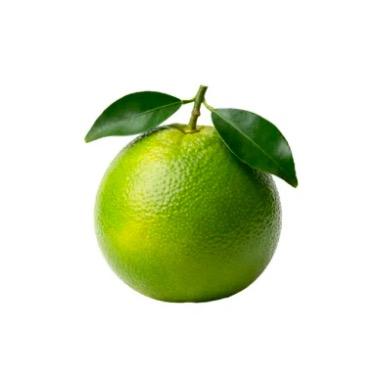 嘻呱🍉