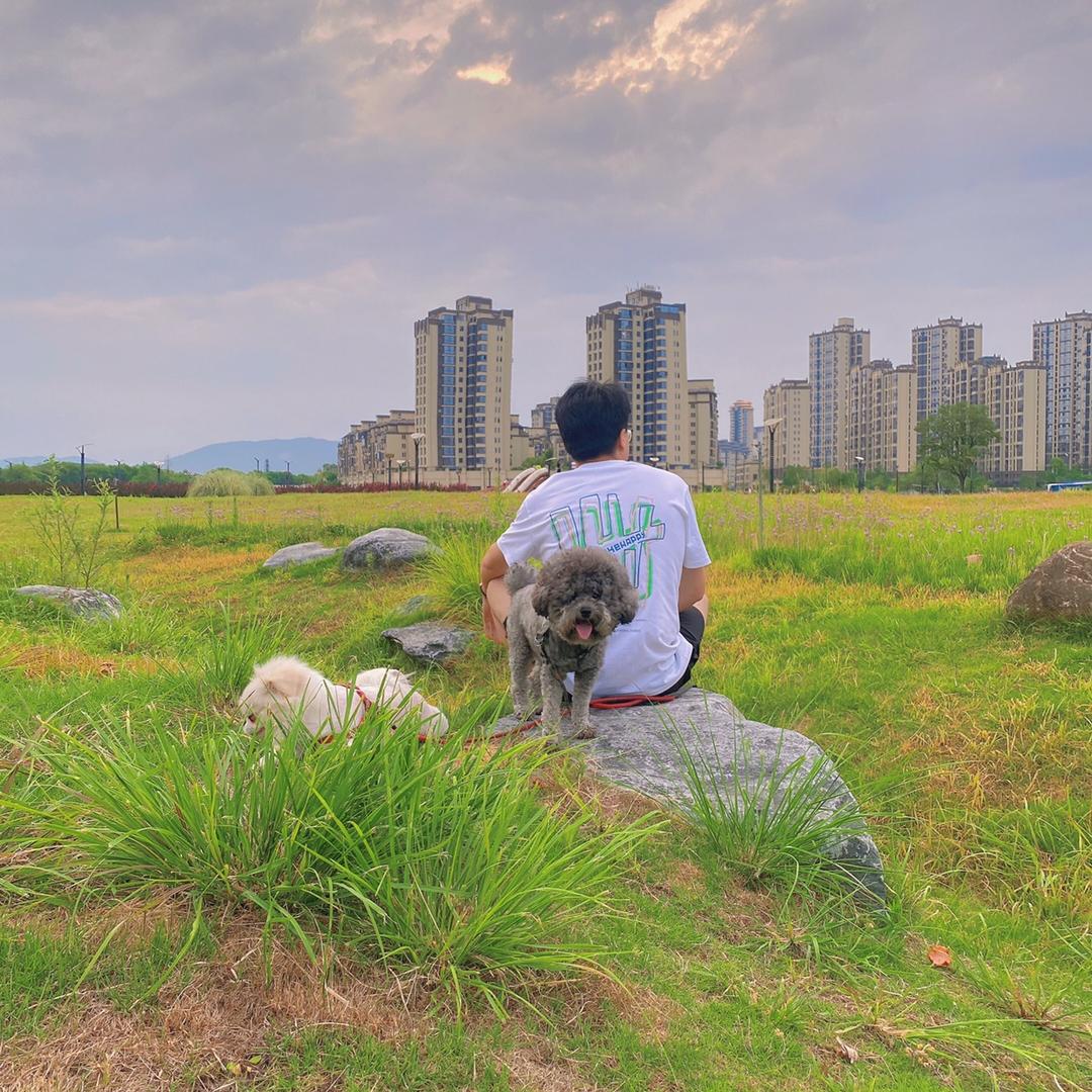 @ 碳烤小肥“杨”🐑