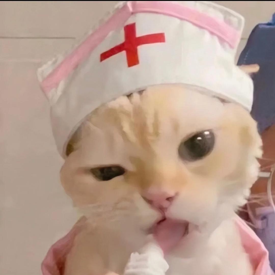 天使禁猎区🫧