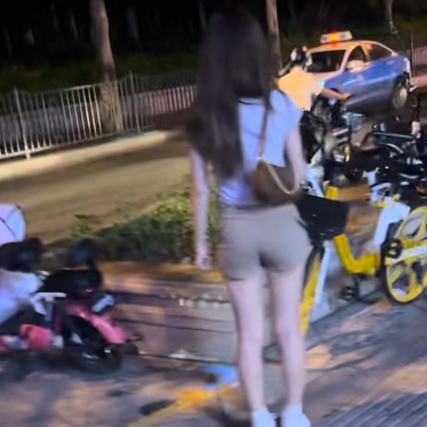 鱼生轻狂
