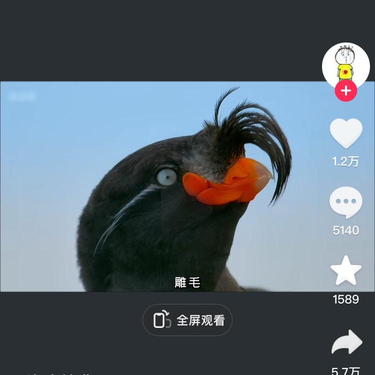 跌