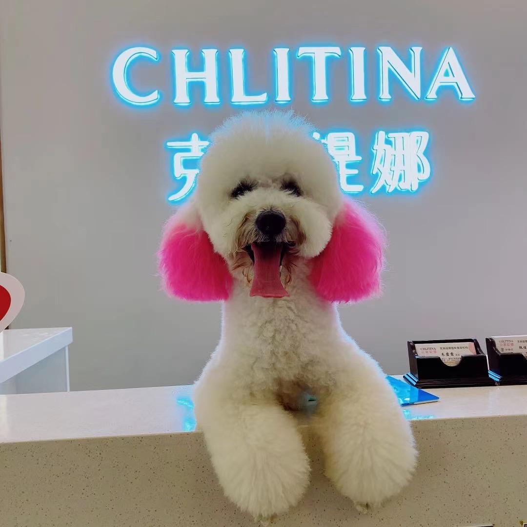 厡菋🎀綠茶