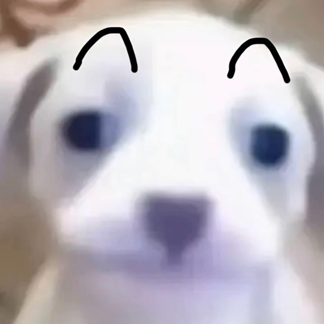 乌鸦՞•ᴥ•՞