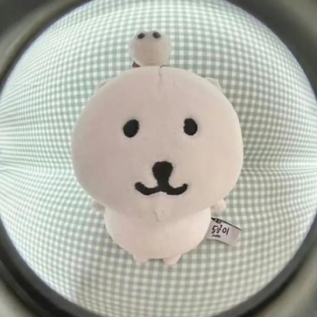 柿子🍅