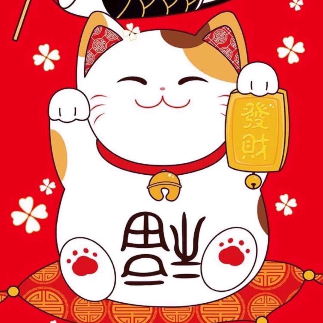 招财猫甄选🐱雨声助眠｜橱窗更多好物
