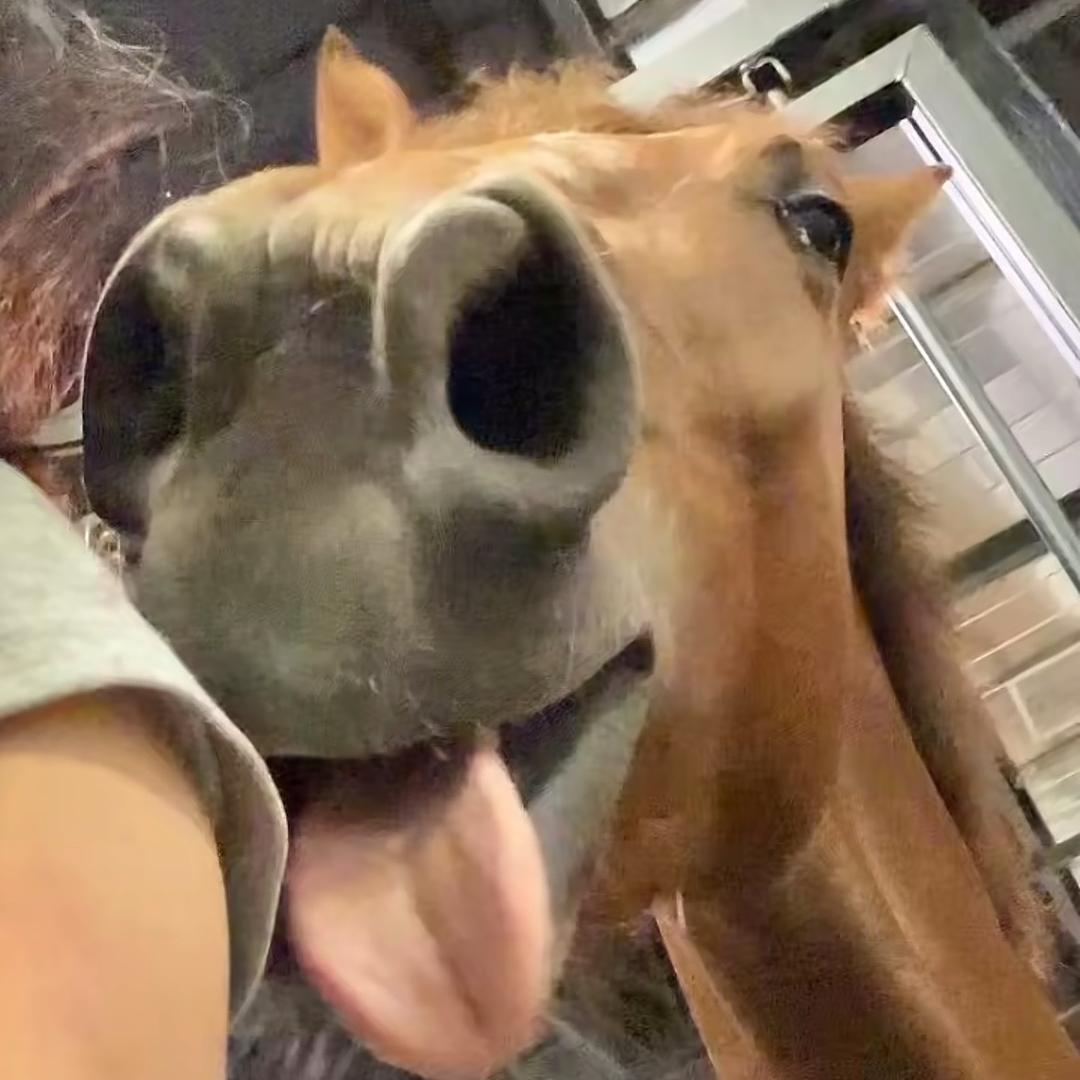 💞土豆丝彭