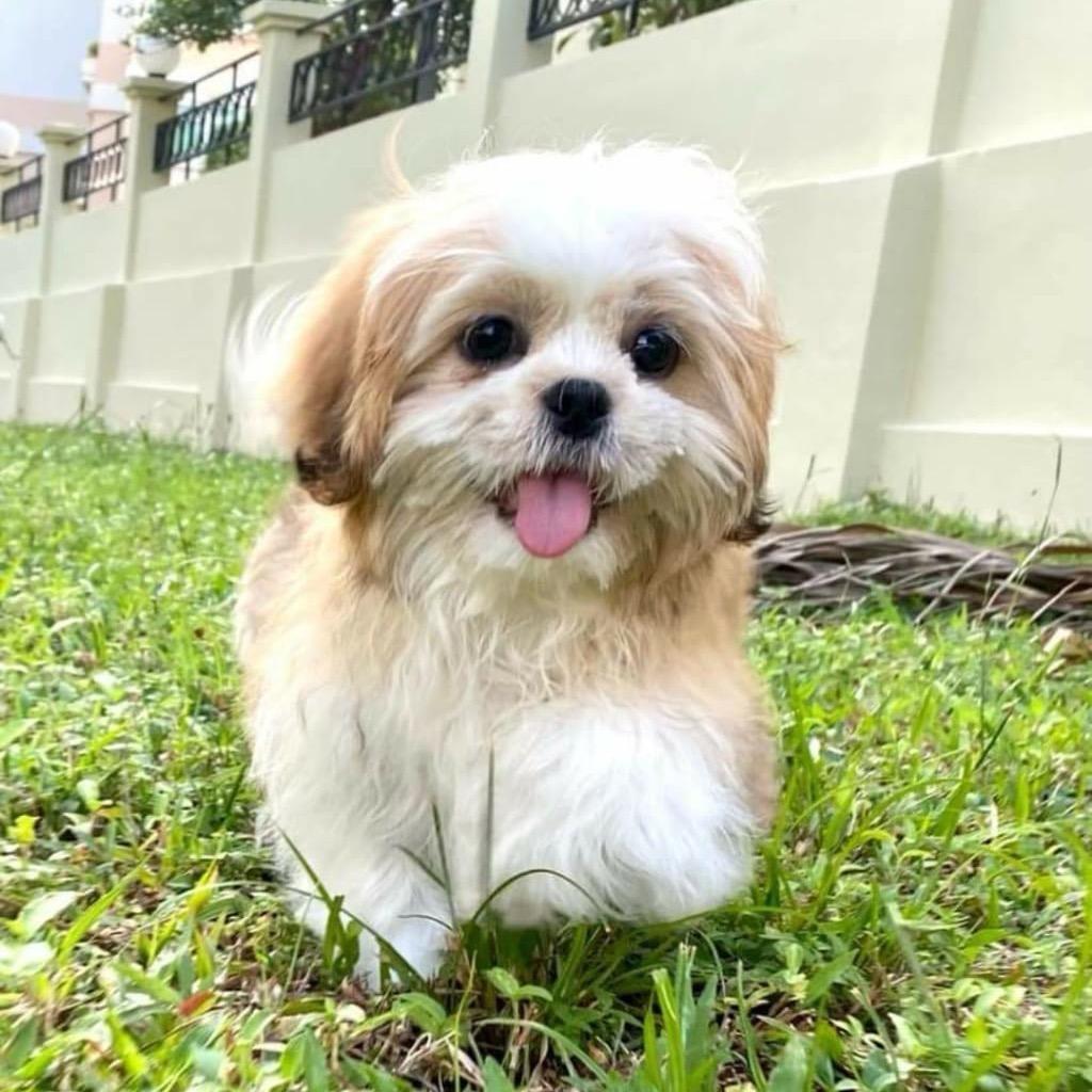 星yǔ🌦️
