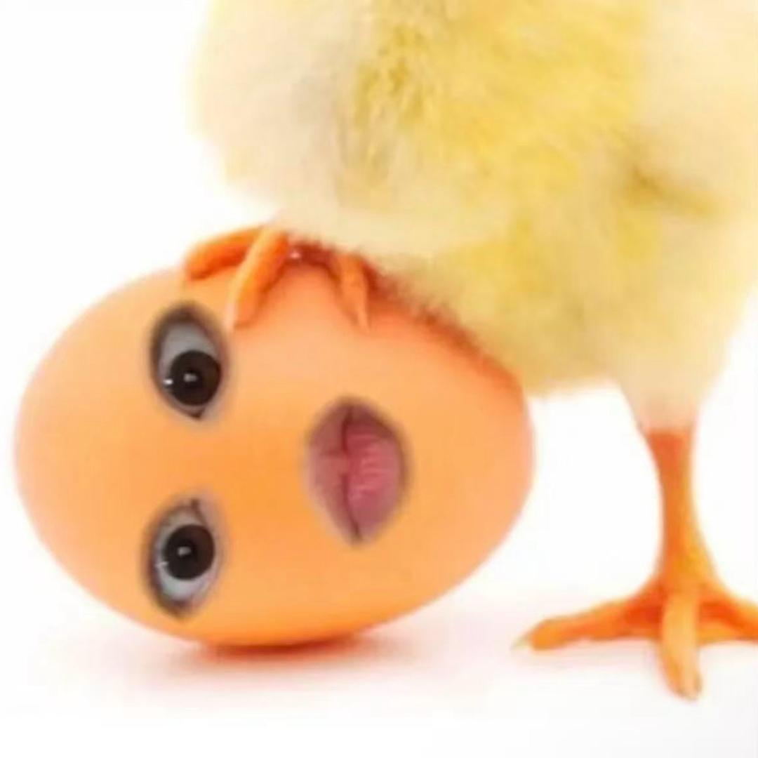 t r yue