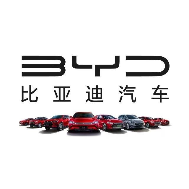 桃源金旋风比亚迪城展店